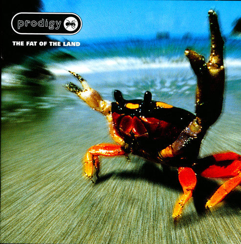 Prodigy: The Fat Of The Land / RECORD