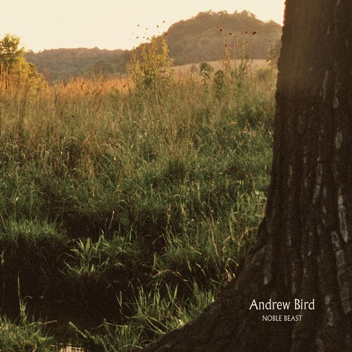 Andrew Bird: Noble Beast / RECORD