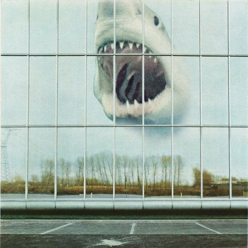 Black Mountain: Wilderness Heart / RECORD