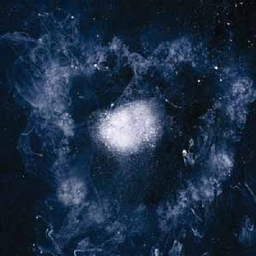 Swans: My Father Will Guide Me Up a Rope to the Sky / RECORD