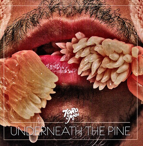 Toro y Moi: Underneath the Pine / RECORD
