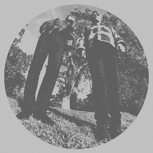 Ty Segall: Hair / RECORD
