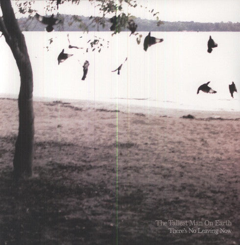The Tallest Man on Earth: There's No Leaving Now / RECORD