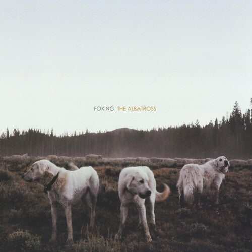 Foxing: Albatross / RECORD