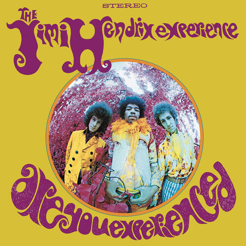 Jimi Hendrix: Are You Experienced / RECORD