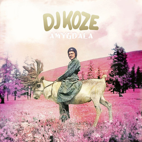 DJ Koze: Amygdala / RECORD