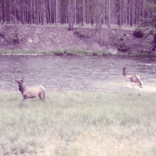 Seahaven: Ghost + Acoustic Sessions / RECORD
