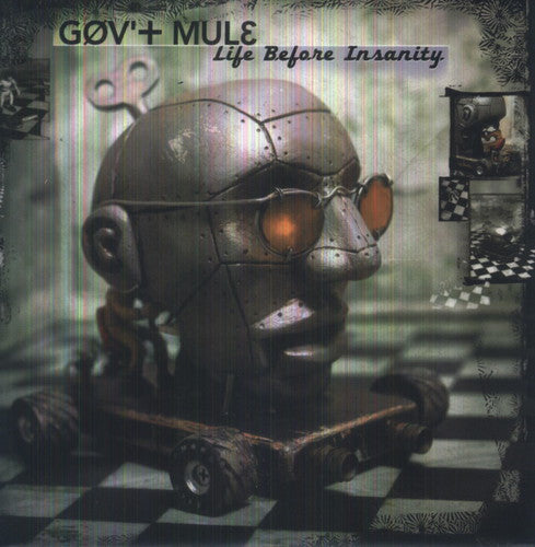 Gov't Mule: Life Before Insanity / RECORD