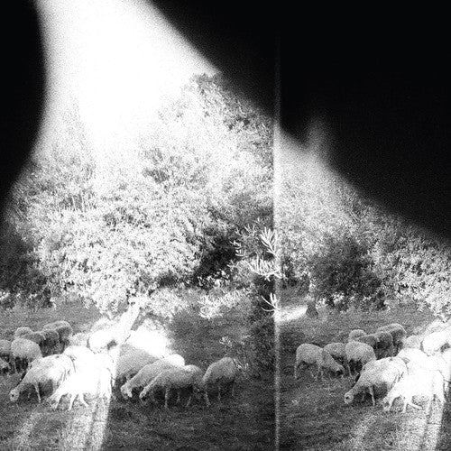 Godspeed You! Black Emperor: Asunder Sweet & Other Distress / RECORD