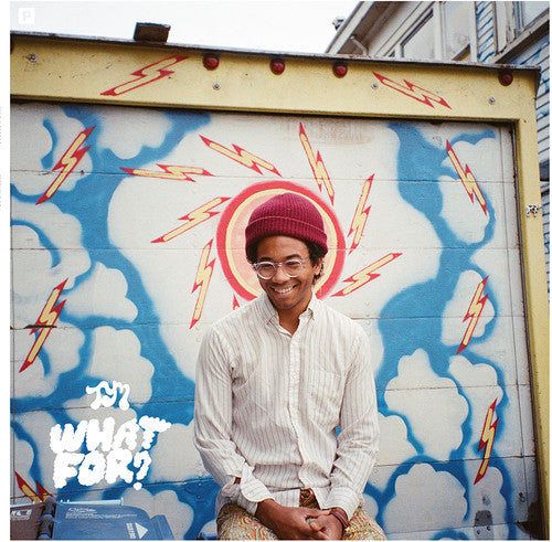 Toro y Moi: What for / RECORD