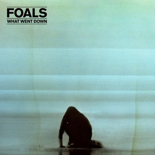 Foals: What Went Down / RECORD