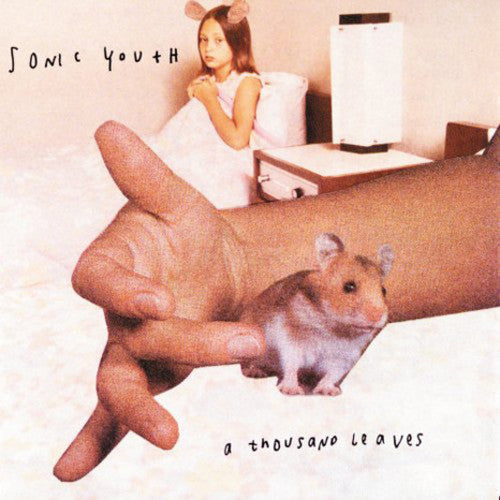 Sonic Youth: A Thousand Leaves / RECORD