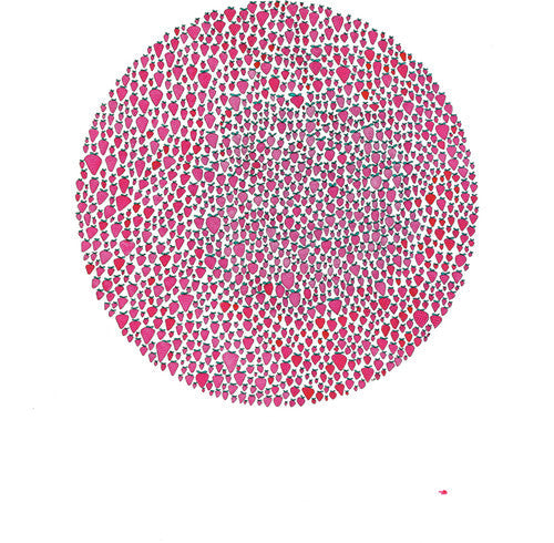 Julia Brown: An Abundance of Strawberries / RECORD