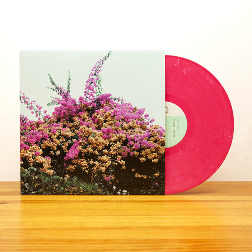 Jay Som: Turn Into / RECORD