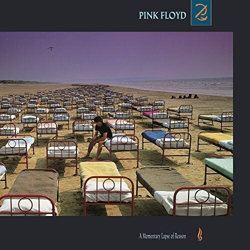 Pink Floyd: A Momentary Lapse Of Reason / RECORD