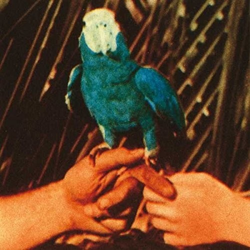 Andrew Bird: Are You Serious / RECORD