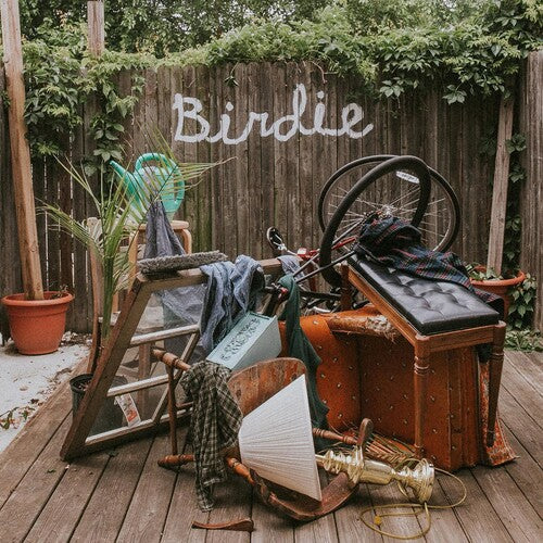 Slaughter Beach Dog: Birdie / RECORD