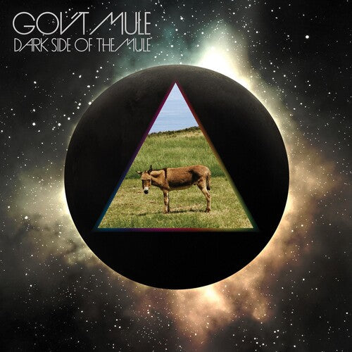 Gov't Mule: Dark Side of the Mule / RECORD