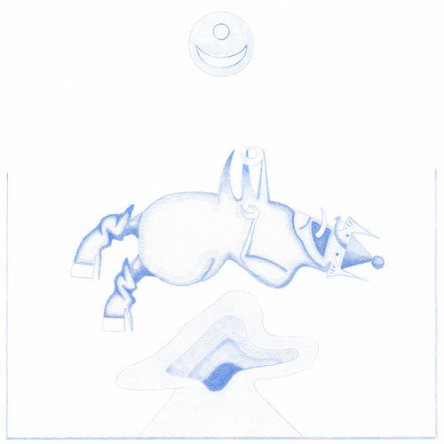 Devendra Banhart: Ape In Pink Marble / RECORD