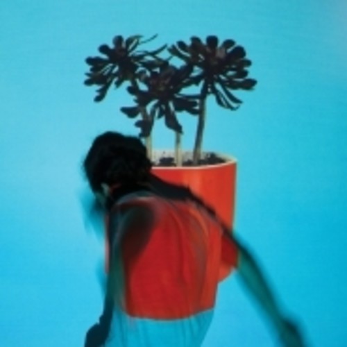 Local Natives: Sunlit Youth / RECORD
