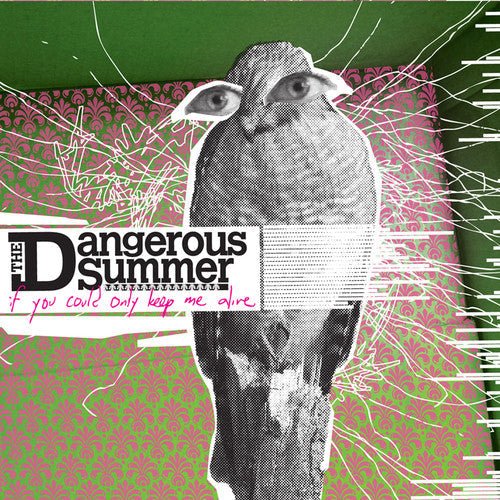 The Dangerous Summer: If You Could Only Keep Me Alive / RECORD