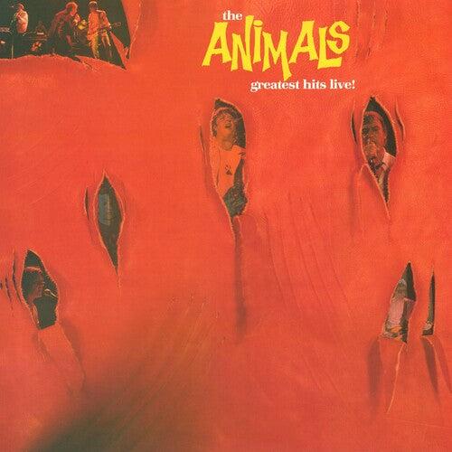 The Animals: Greatest Hits Live / RECORD