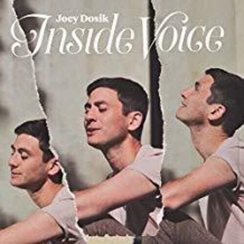 Joey Dosik: INSIDE VOICE / RECORD