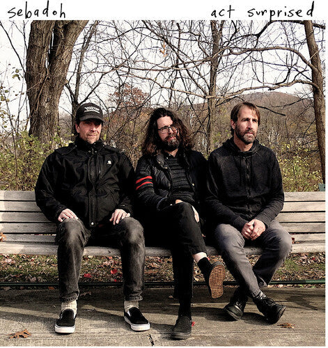 Sebadoh: Act Surprised / RECORD