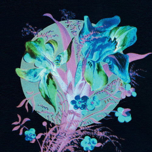 Hannu Karjalainen: Handful Of Dust Is A Desert / Vinyl LP