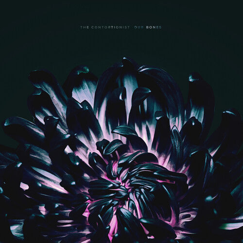 The Contortionist: Our Bones / RECORD