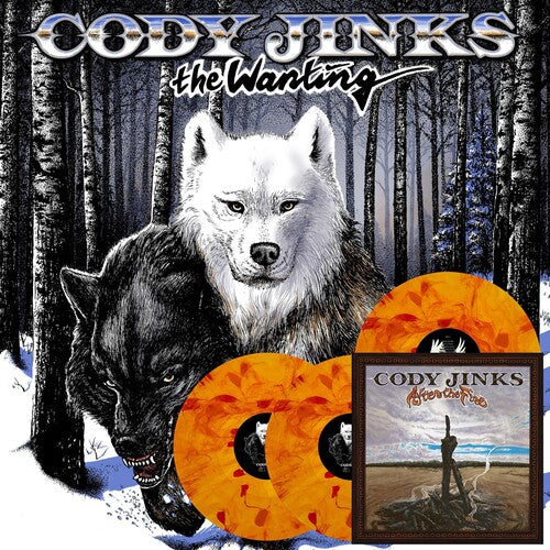 Cody Jinks: Wanting After The Fire / RECORD