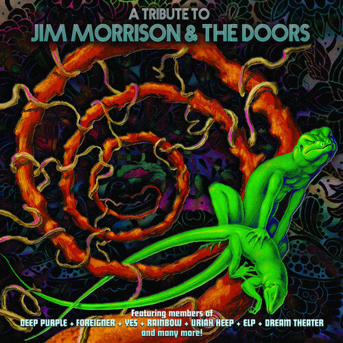 Various Artists: A Tribute To Jim Morrison & The Doors (Various Artists) / RECORD