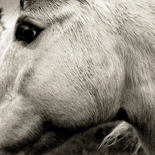 Bonny Light Horseman: Bonny Light Horseman / RECORD