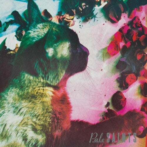 Pale Saints: Comforts Of Madness / RECORD