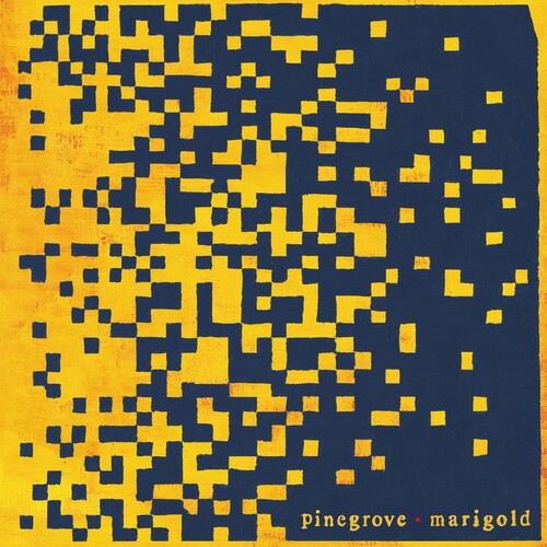 Pinegrove: Marigold / RECORD