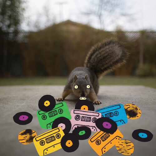 Evidence: Squirrel Tape Instrumentals 1 / RECORD