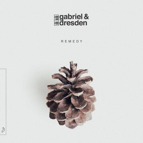 Gabriel & Dresden: Remedy / RECORD