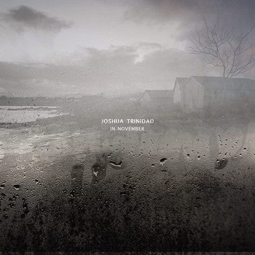 Joshua Trinidad: In November / RECORD
