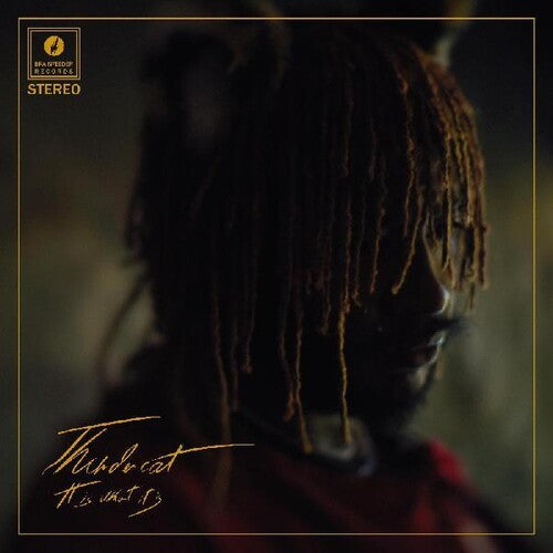 Thundercat: It Is What It Is / RECORD