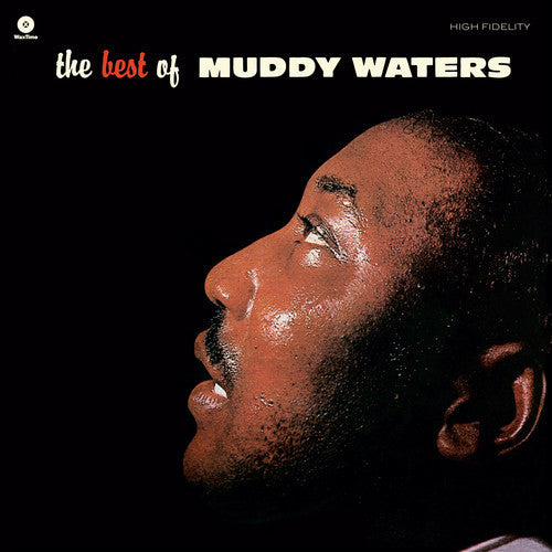 Muddy Waters: Best Of / RECORD