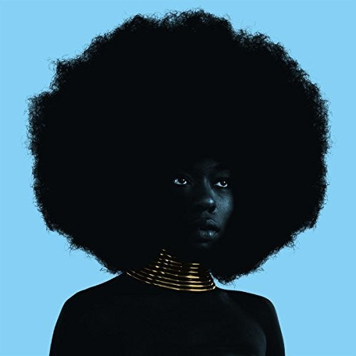 Sudan Archives: Sink / RECORD