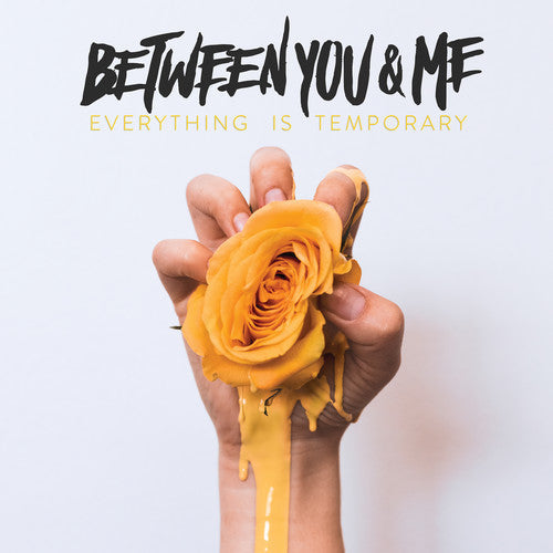 Between You & Me: Everything Is Temporary / RECORD