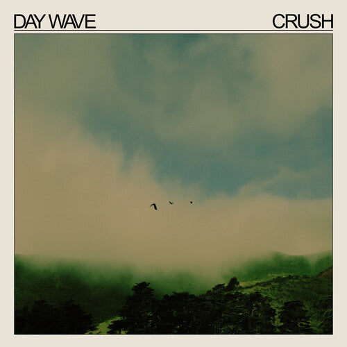 Day Wave: Crush / RECORD