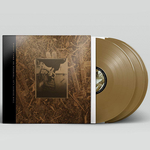 Pixies: Come On Pilgrim It's Surfer Rosa / RECORD