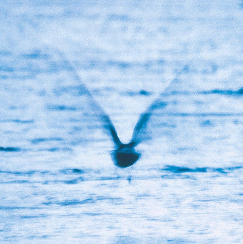 Ryo Fukui: Mellow Dream / RECORD