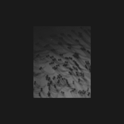 Merzbow: Monoakuma { CD }