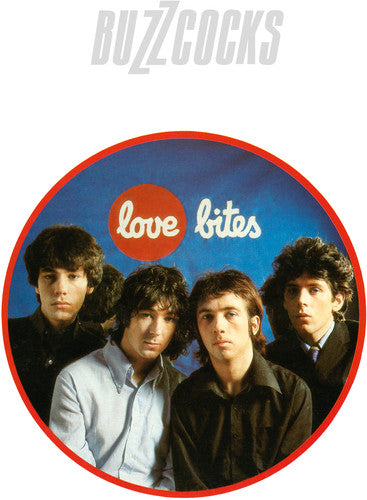 Buzzcocks: Love Bites / RECORD