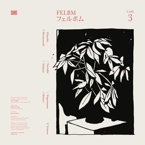 Felbm: Tape 3 / Tape 4 / RECORD