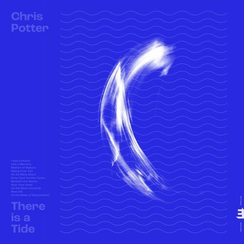 Potter, Chris: There Is A Tide / RECORD