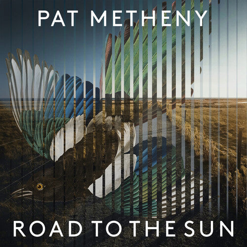 Pat Metheny: Road To The Sun / RECORD